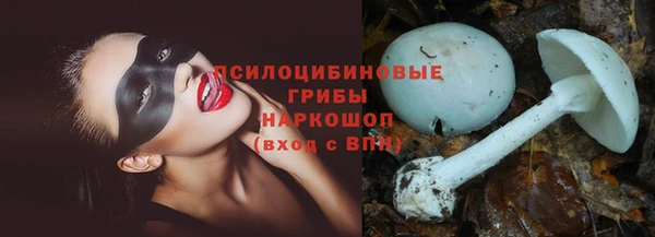 spice Балабаново
