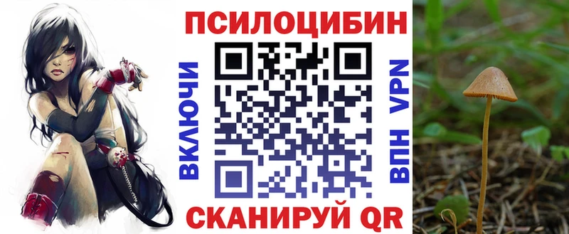 Псилоцибиновые грибы мицелий  Спас-Деменск 